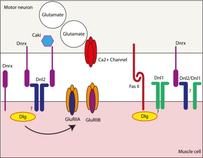 Fig. 2