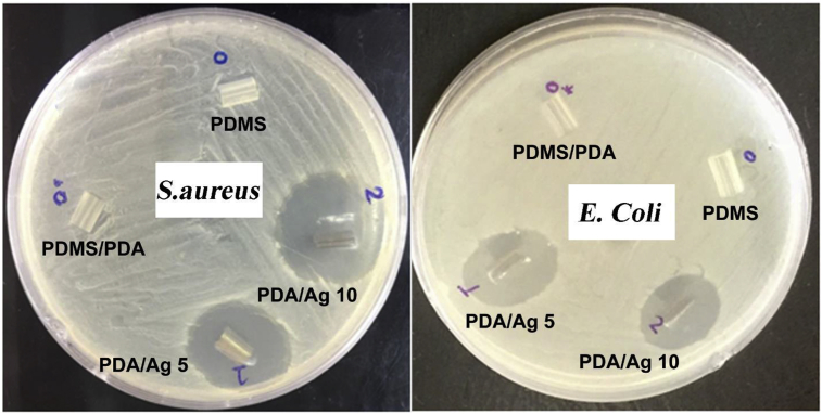 Figure 4