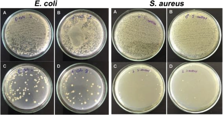 Figure 6