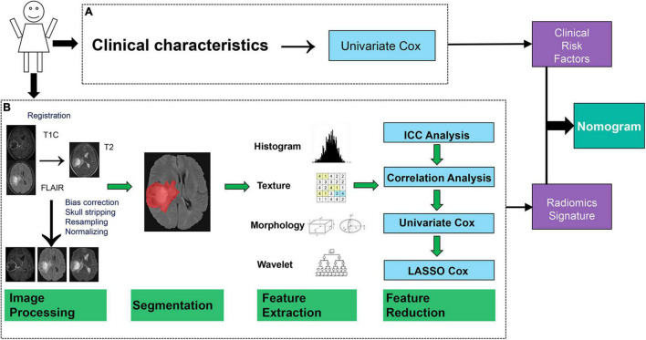 FIGURE 1