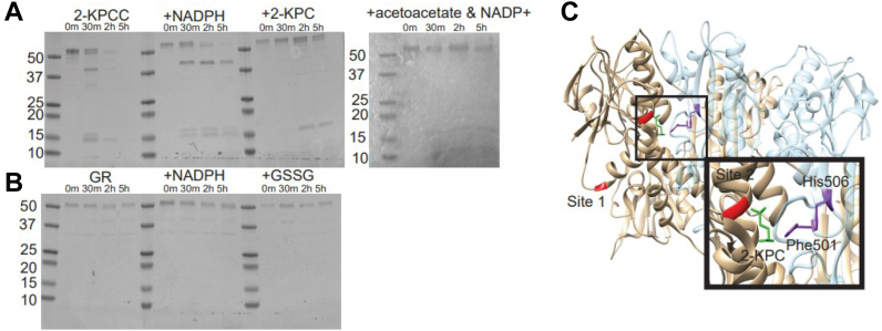 Figure 4
