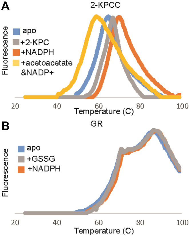 Figure 5