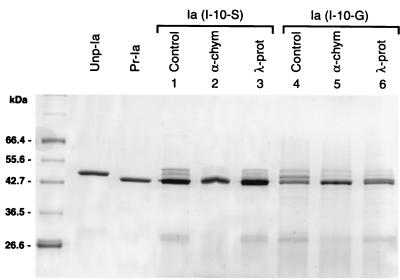 FIG. 7