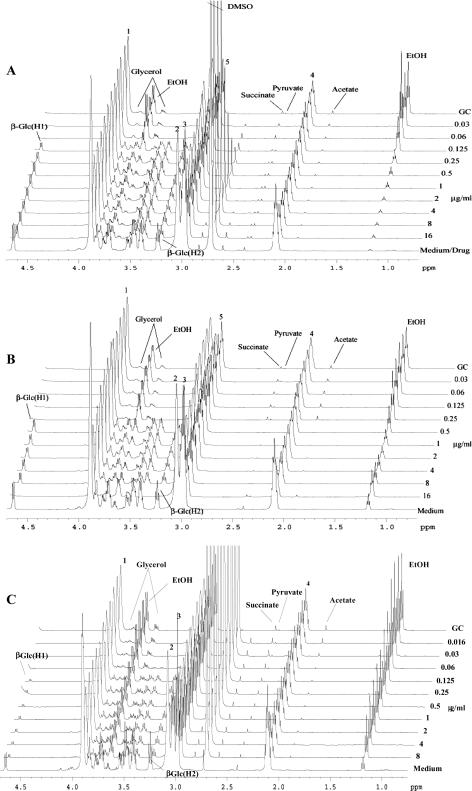 FIG. 2.