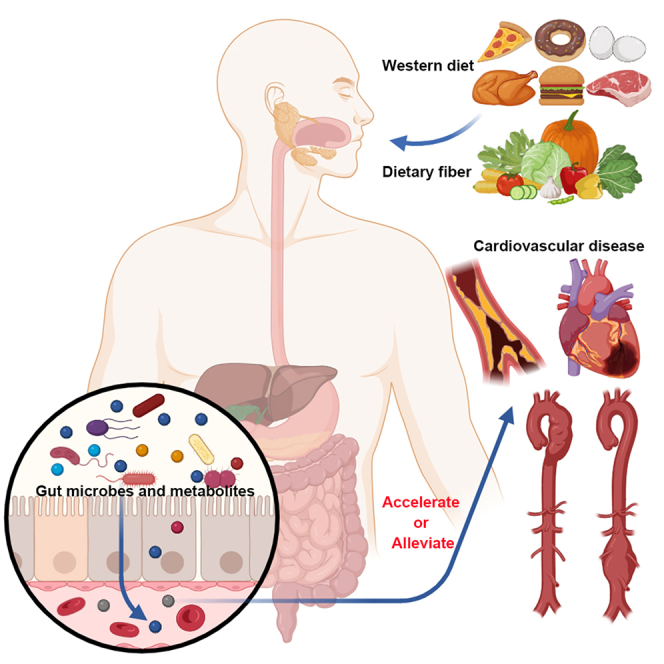 graphic file with name fx1.jpg