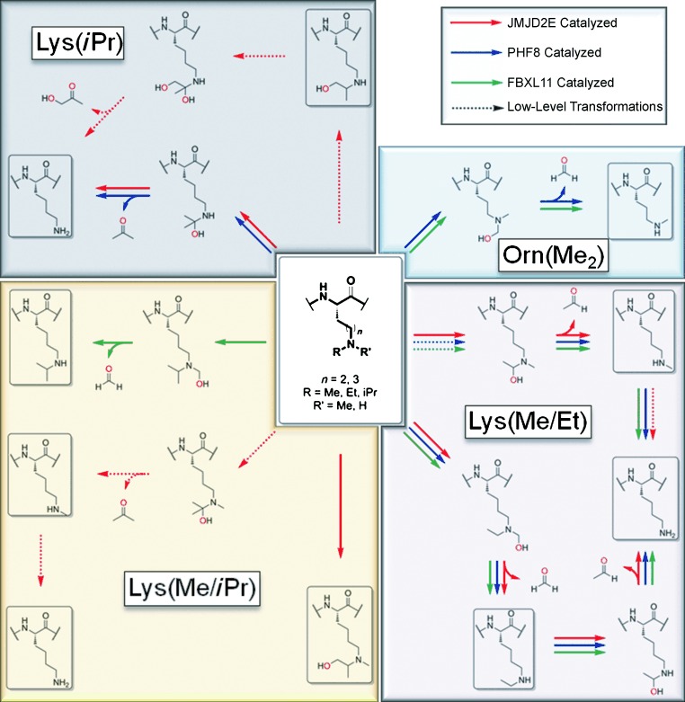 Scheme 1