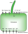 Figure 8