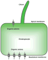 Figure 10