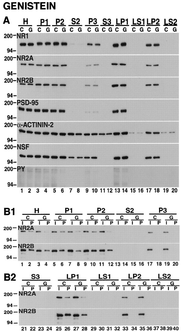 Fig. 9.