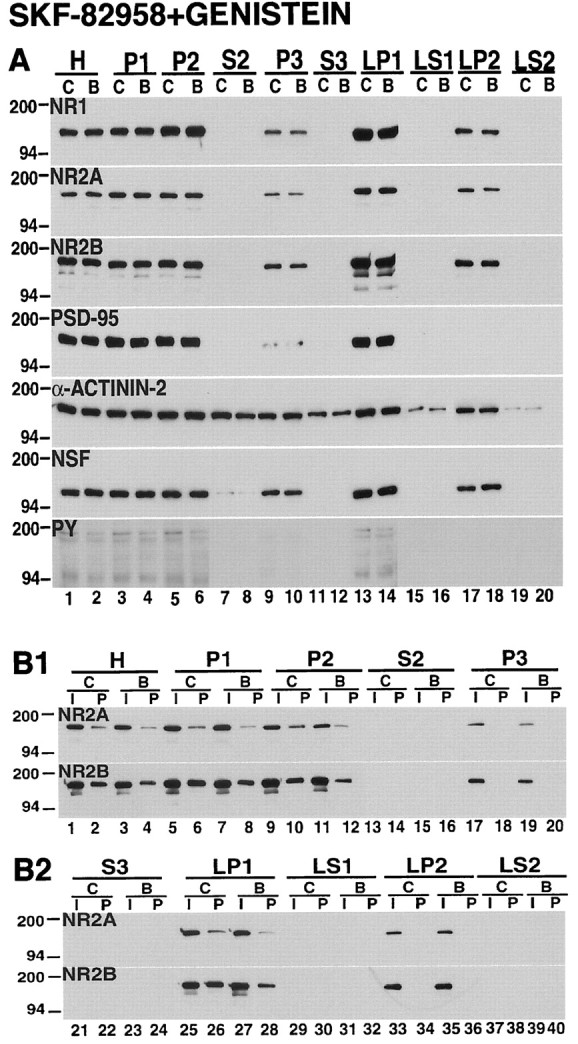 Fig. 10.