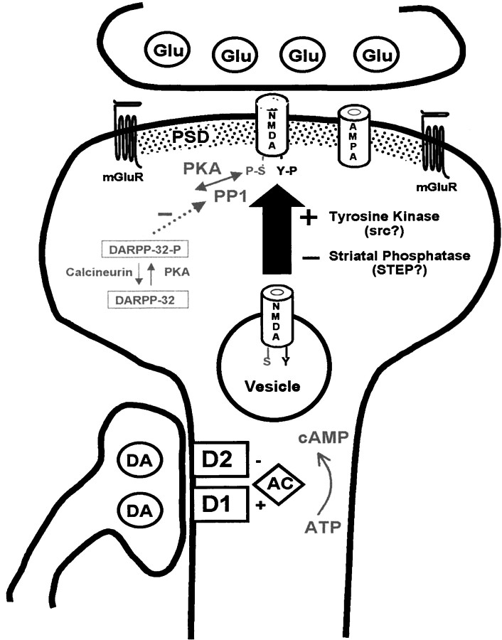 Fig. 11.