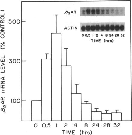 graphic file with name pnas00280-0060-a.jpg