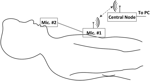 Fig. 1