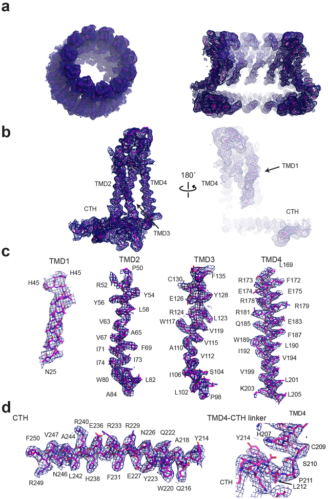 Extended Data Fig. 6