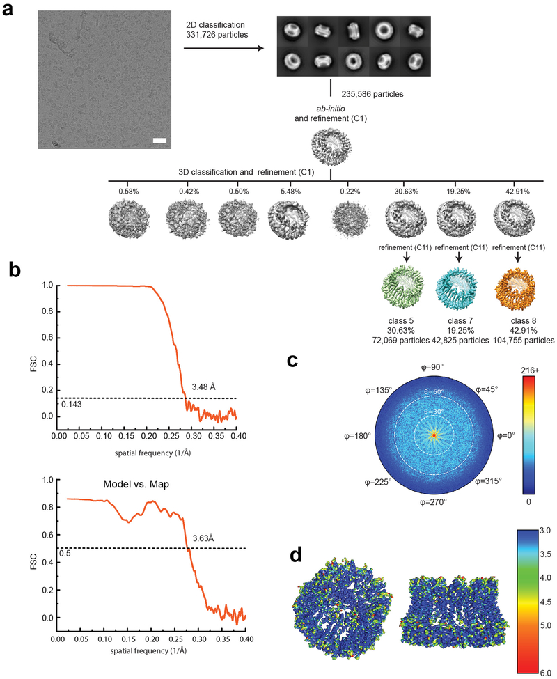 Extended Data Fig. 5