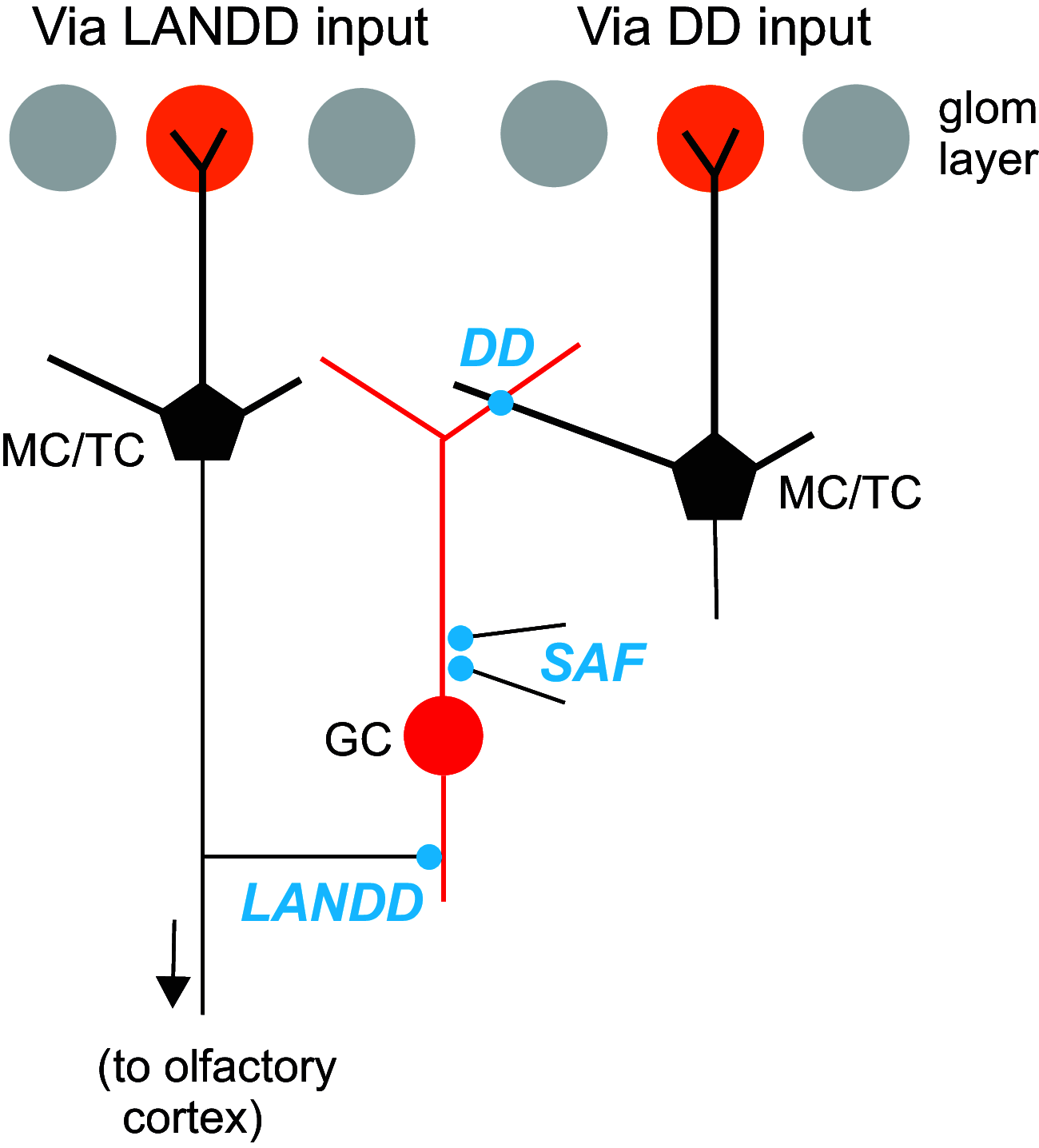 Figure 9.