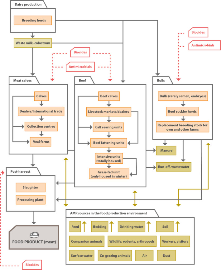 Figure 10