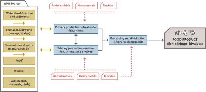 Figure 12