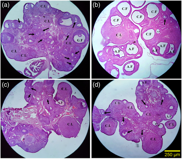 FIGURE 3