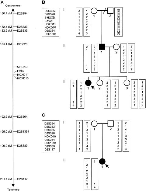 Figure  1