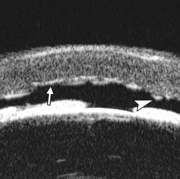 Fig. 10