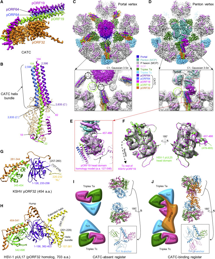 Figure 4