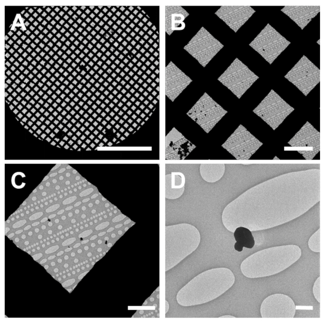 Figure 2: