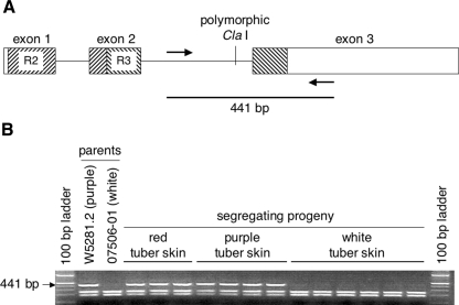 Fig. 6