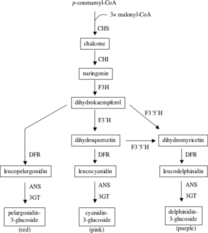 Fig. 2