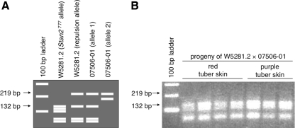 Fig. 7