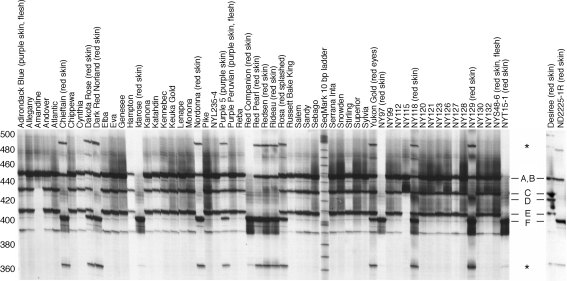 Fig. 9