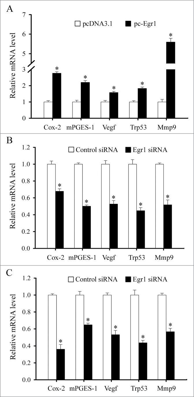 Figure 10.