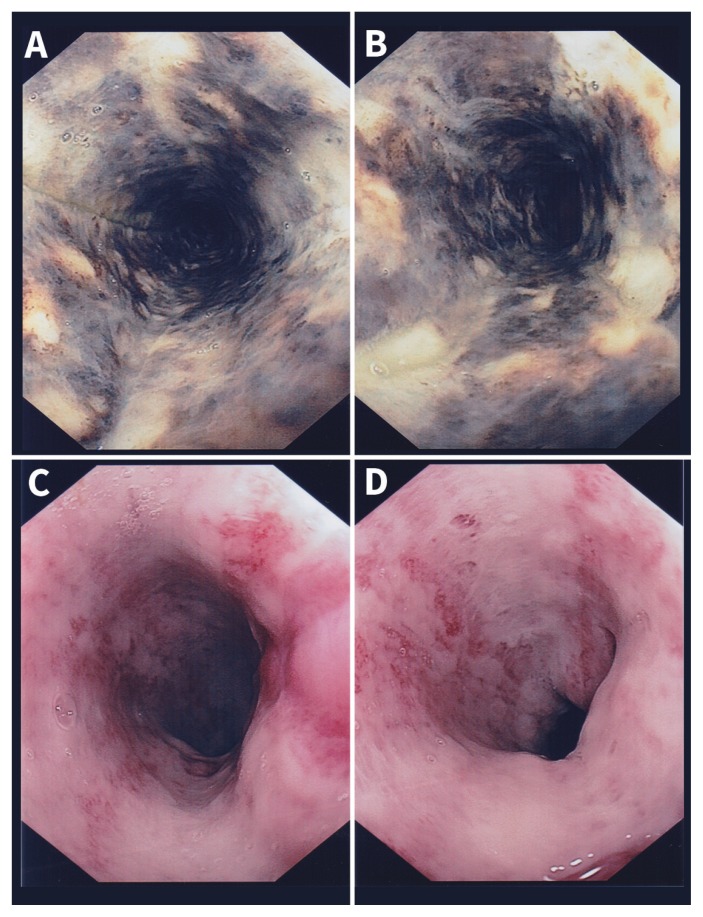 Figure 1: