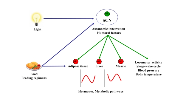 Figure 1.