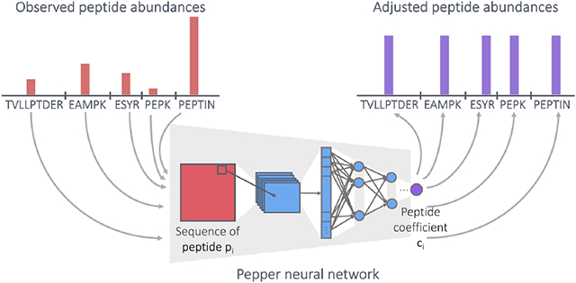 graphic file with name nihms-1837789-f0001.jpg