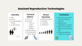 graphic file with name DMCN-65-38-g004.jpg