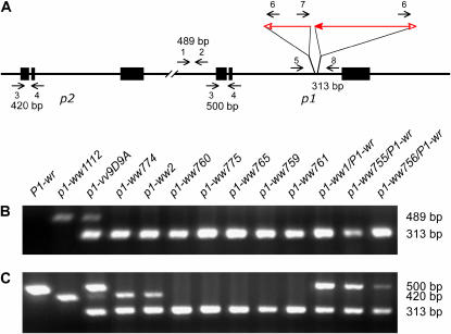 Figure 2.