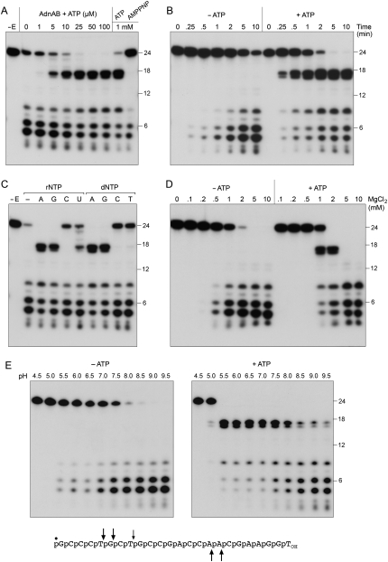 Figure 5.