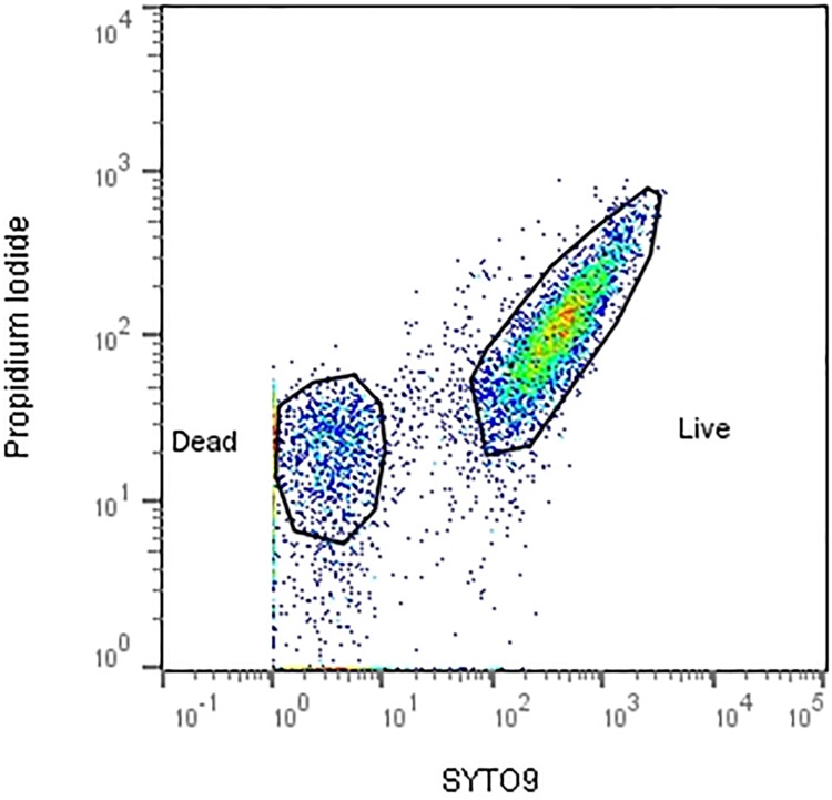 Fig 2