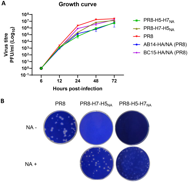 FIG 3