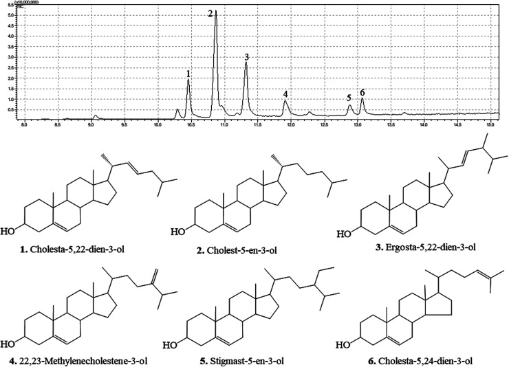 Fig. 2