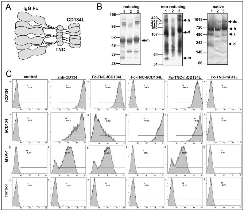 Fig. 2