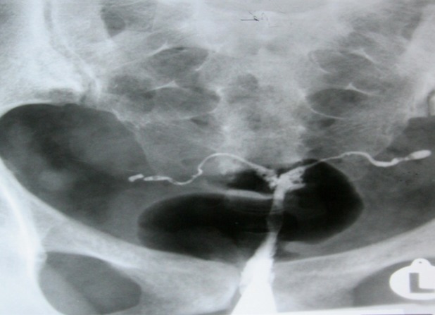 Fig 6