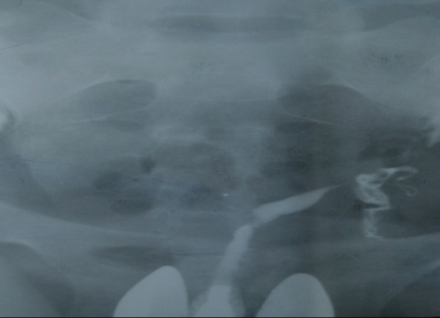 Fig 8