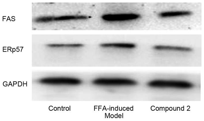 Figure 6.