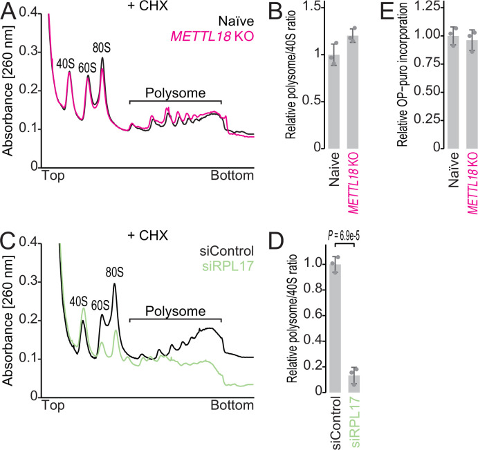 Figure 4—figure supplement 1.