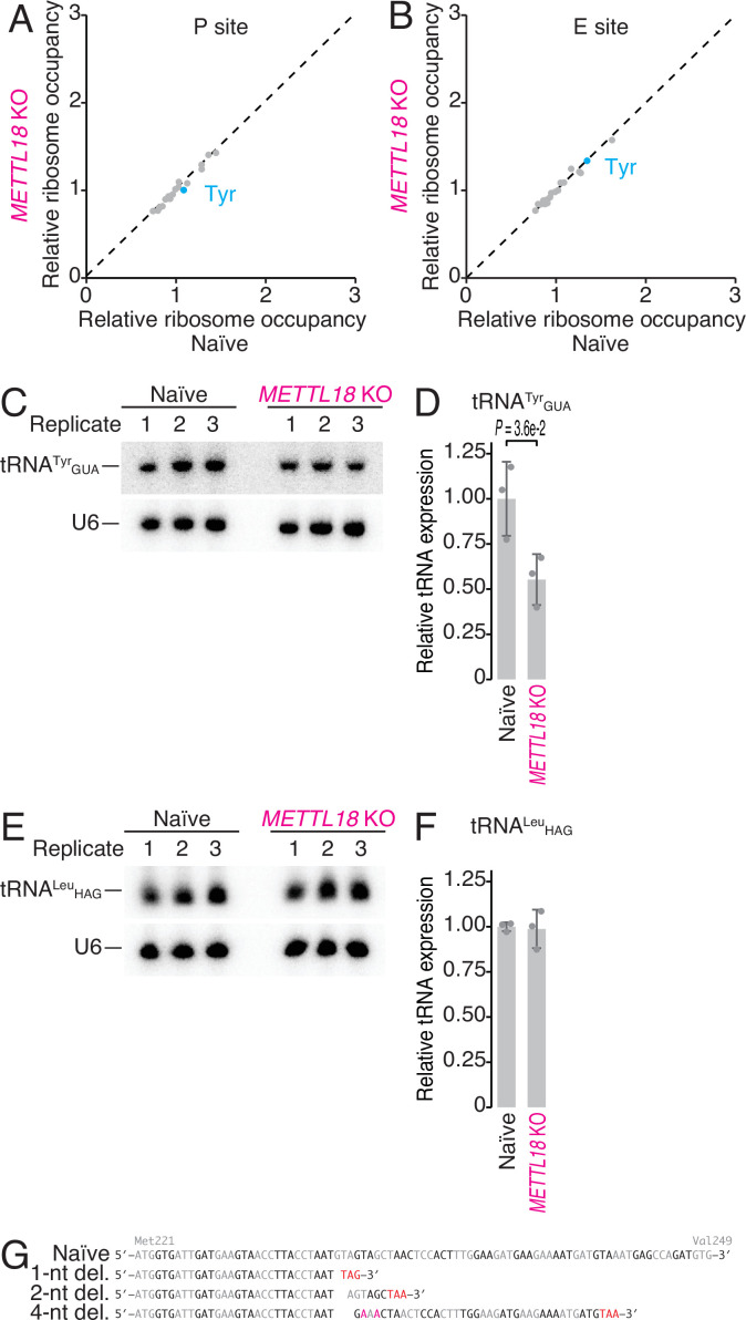 Figure 4—figure supplement 2.