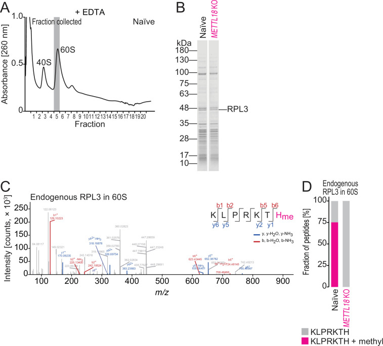 Figure 1—figure supplement 2.