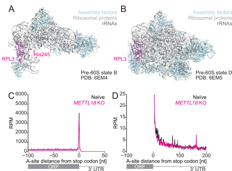 Figure 9—figure supplement 1.