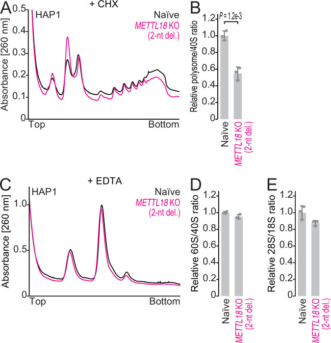 Figure 9—figure supplement 2.